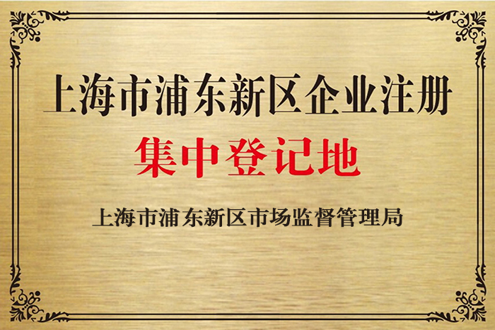 上海臨港新片區注冊公司