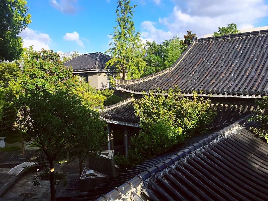 微信圖片_20190509131633.jpg