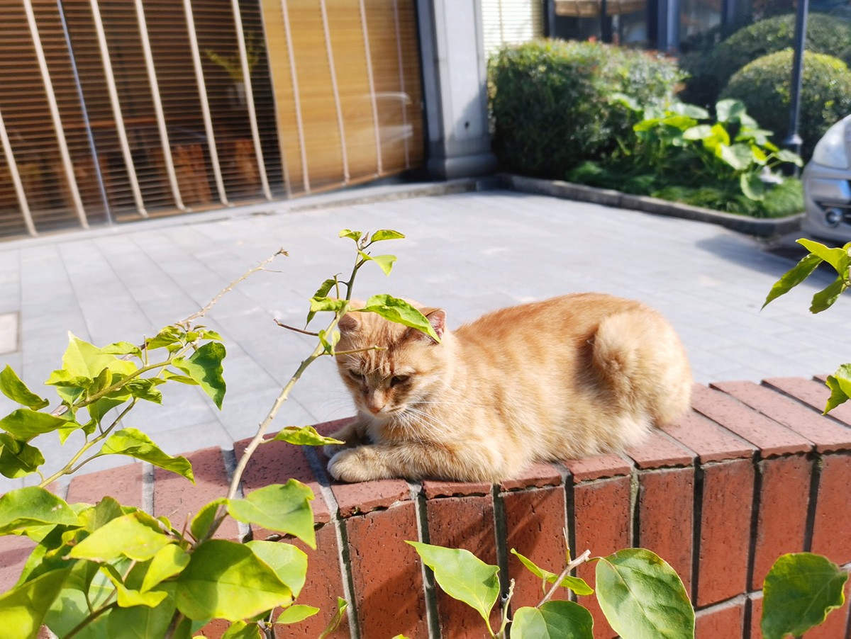 上海科學城招商服務園區