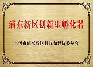 上海浦東新區注冊公司流程