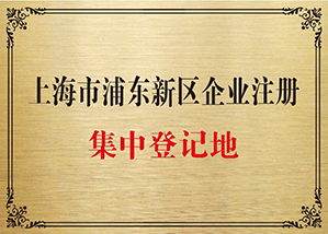 上海浦東新區注冊公司流程
